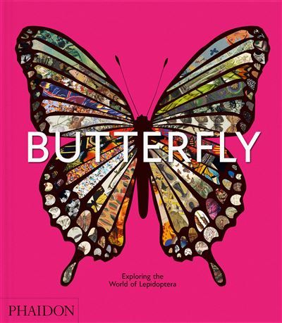 Butterfly Exploring the world of lepidoptera