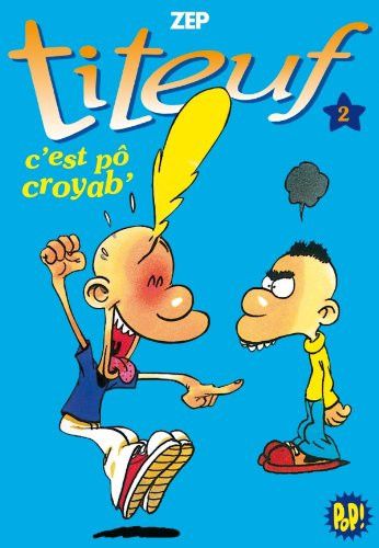 Couverture de C'est pô croyab' par Zep Zep