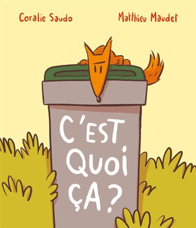 C'est quoi, ça ? - Matthieu Maudet