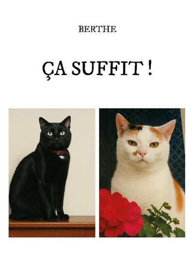 Ca suffit !
