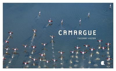 Camargue - Focus - 2ed - Photos de Thierry Vezon