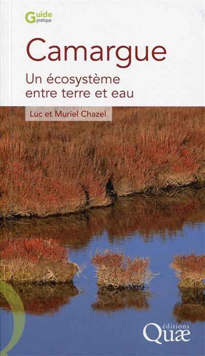 Camargue Un écosystème entre terre et eau.