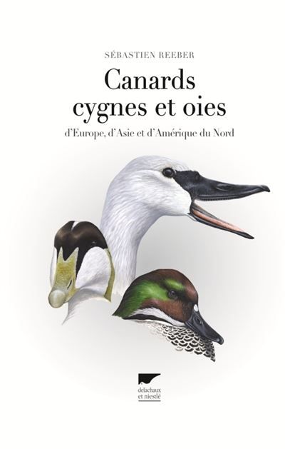 Canards, cygnes et oies D'Europe, d'Asie et d'Amérique du Nord