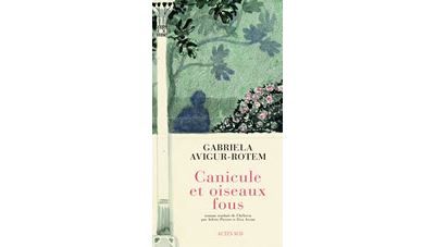 Canicule et oiseaux fous