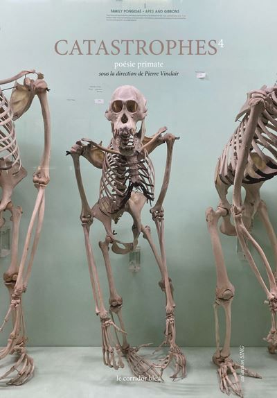 Catastrophes Poésie primate
