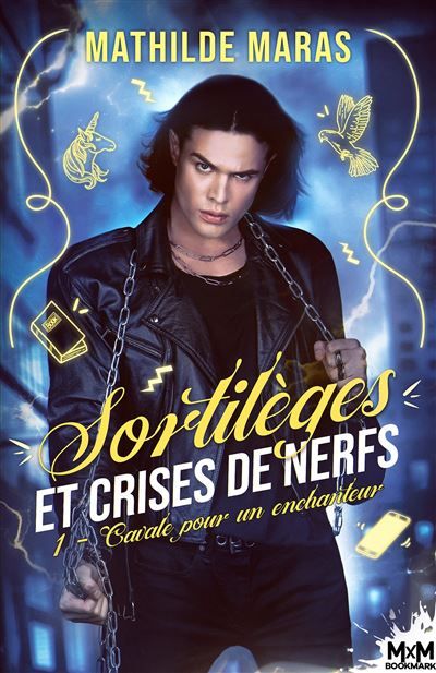 Cavale pour un enchanteur Sortilèges et Crises de Nerfs, T1