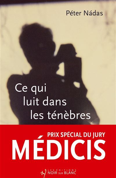 Ce qui luit dans les ténèbres Souvenirs de la vie d’un narrateur