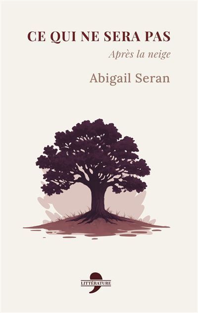 Couverture de Ce qui ne sera pas Après la neige par Abigail Seran