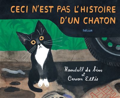 Ceci n'est pas l'histoire d'un chaton - Carson Ellis