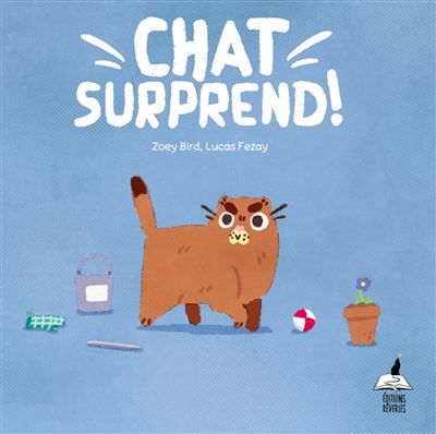 Chat surprend
