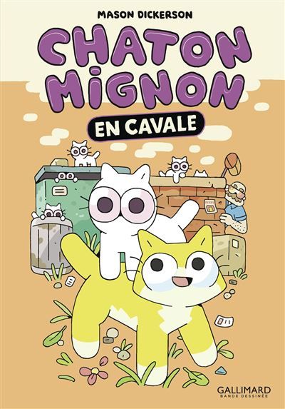 Chaton Mignon En cavale