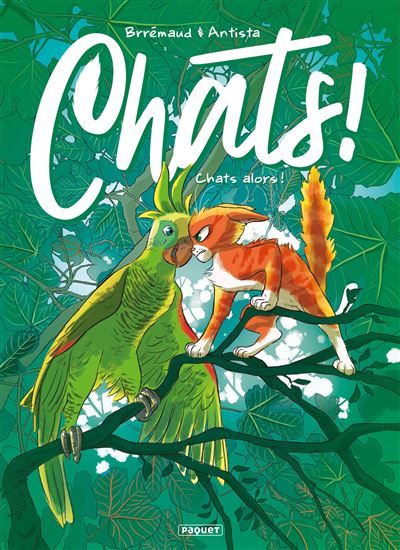 Chats - t6 - Paola Antista