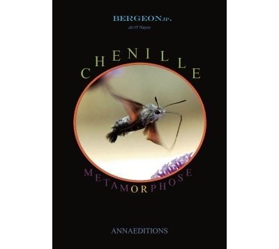 Chenille