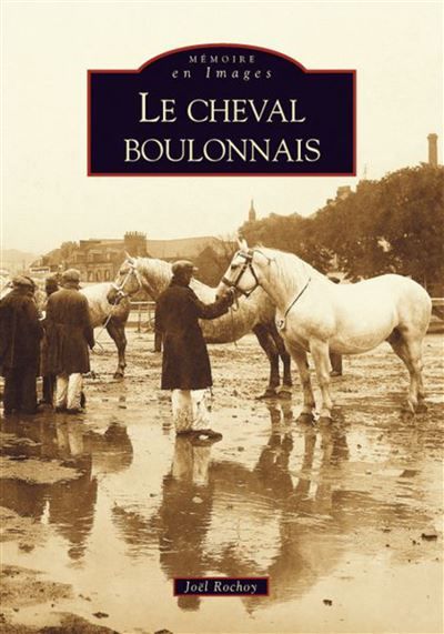 Cheval boulonnais (Le)