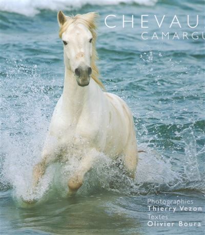 Chevaux de camargue