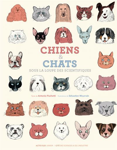 Chiens et chats, sous la loupe des scientifiques Sous la loupe des scientifiques