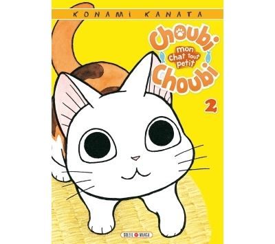 Choubi-Choubi petit - tome 02 Mon chat tout petit - Tome 2