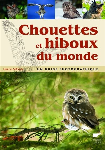 Chouettes et hiboux du monde Un guide photographique