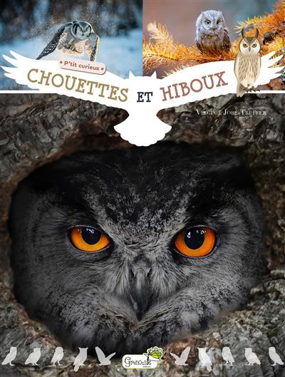 Chouettes et hiboux
