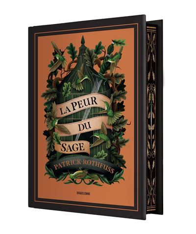 Chronique du Tueur de Roi, T2 : La Peur du Sage