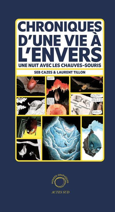 Chroniques d'une vie à l'envers Une nuit avec les chauves-souris