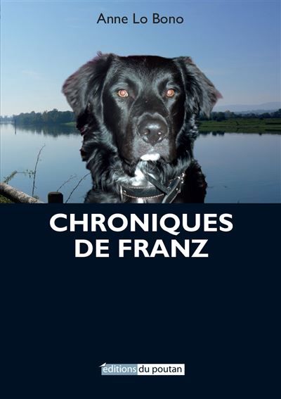 Chroniques de Franz 2025