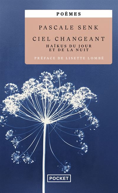 Ciel changeant - Haïkus du jour et de la nuit