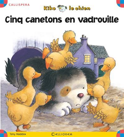 Cinq canetons en vadrouille