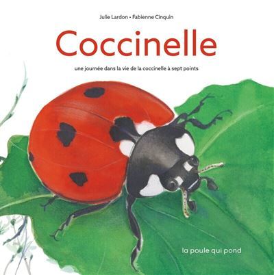 Coccinelle