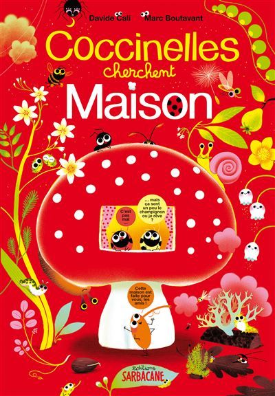 Coccinelles cherchent maison