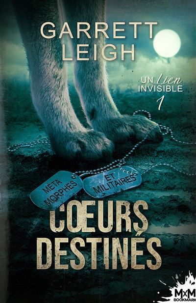 Coeurs destinés Un lien invisible, T1