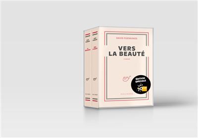 Coffret Foenkinos Edition Limitée Vers la beauté, La délicatesse