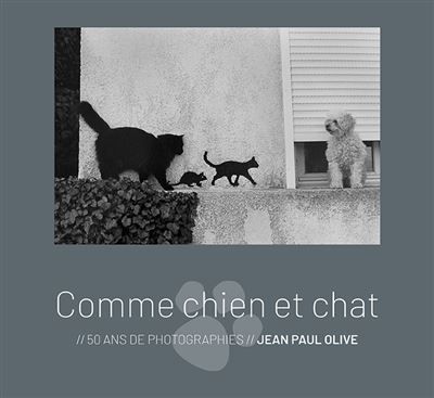 Comme chien et chat - Jean-Paul Olive