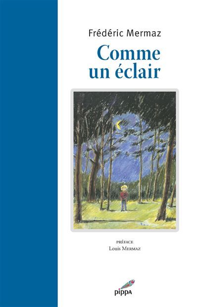 Couverture de Comme un éclair par Louis Mermaz