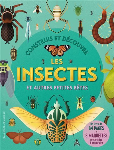 Construis et découvre les insectes et autres petites bêtes -