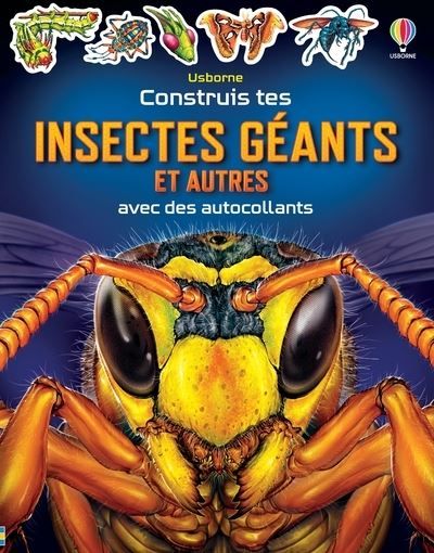Construis tes Insectes géants et autres avec des autocollants - Dès 5 ans