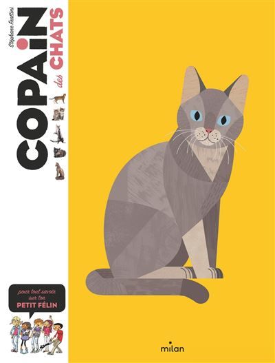 COPAIN - Copain des chats - Dès 8 ans Pour tout savoir sur ton petit félin