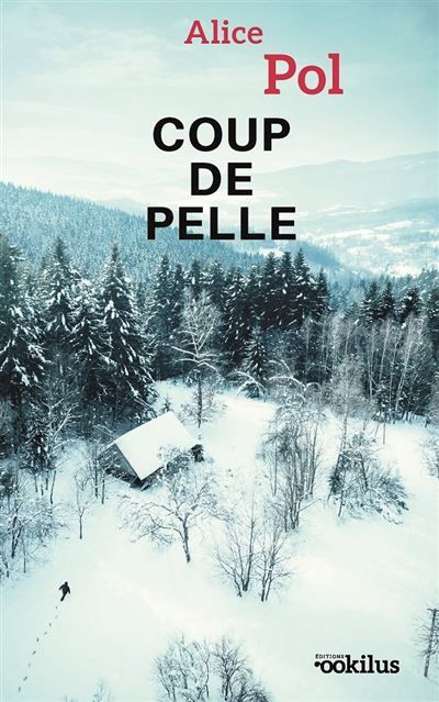 Coup de pelle Édition en gros caractères