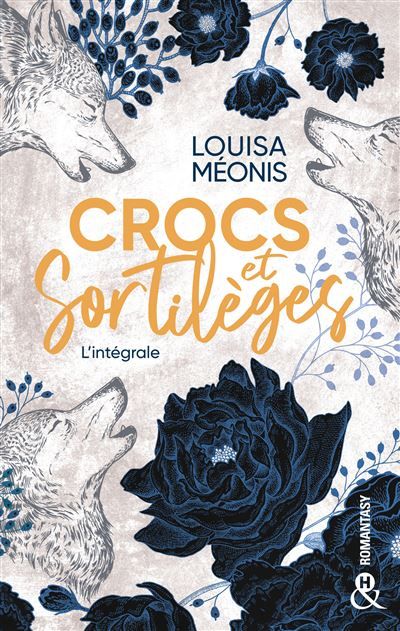Crocs et sortilèges La nouvelle romantasy de Louisa Méonis