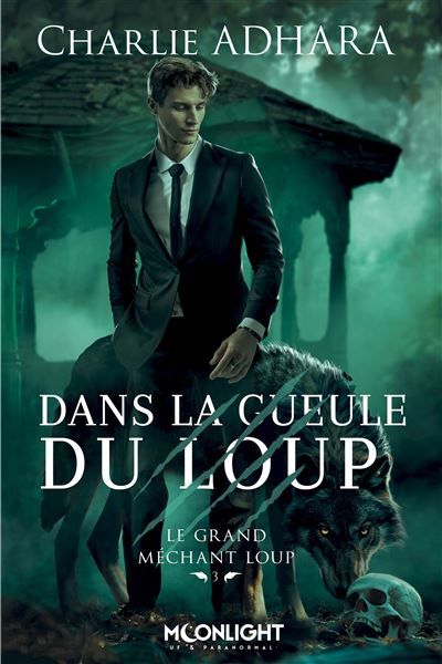 Dans la gueule du loup Le grand méchant loup 3