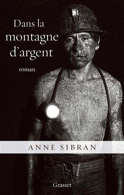 Dans la montagne d argent Roman