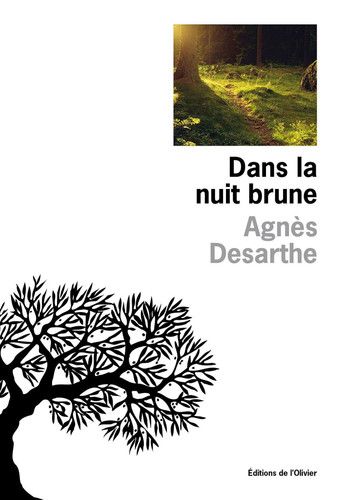 Couverture de Dans la nuit brune - Prix Renaudot des lycéens 2010 par Agnès Desarthe