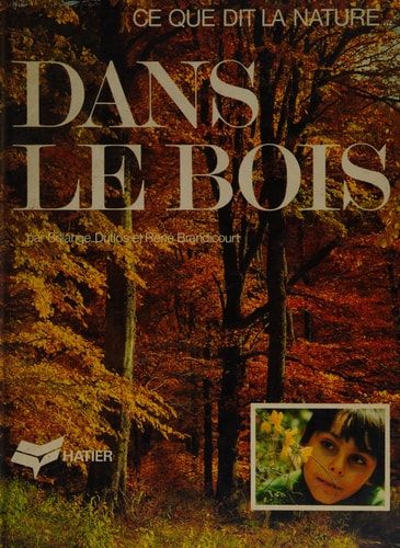 Dans le bois