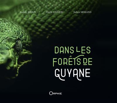Dans les forêts de Guyane