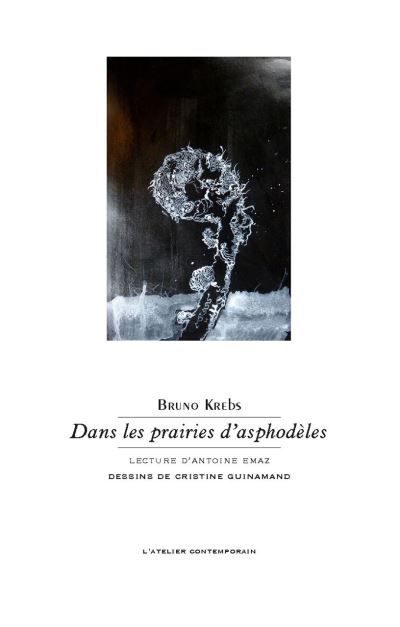 Dans les prairies d'Asphodèles