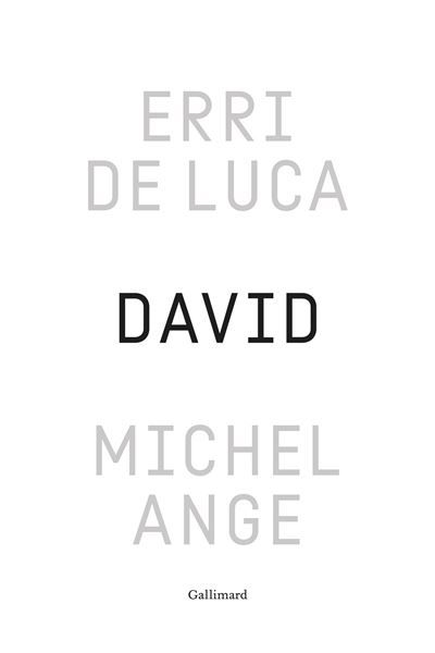 David, Michel-Ange Enquête sur une disproportion