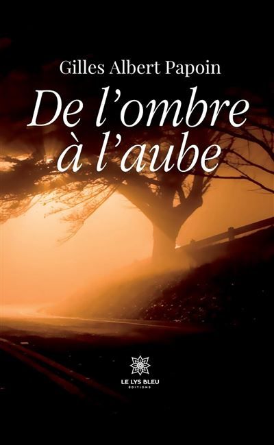 De l'ombre à l'aube