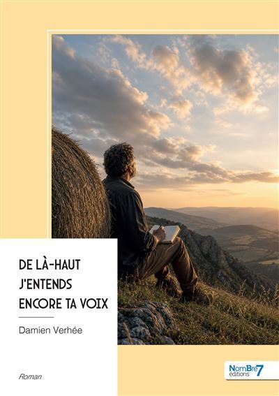 Couverture de De là-haut j'entends encore ta voix par Damien Verhée