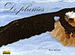 De plumes et de fer - Tome 2 - De plumes et de fer, tome 2