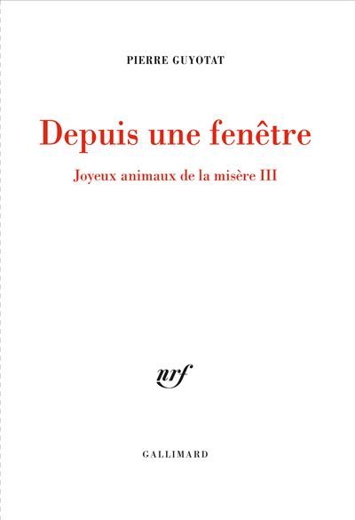Depuis une fenêtre Joyeux animaux de la misere iii